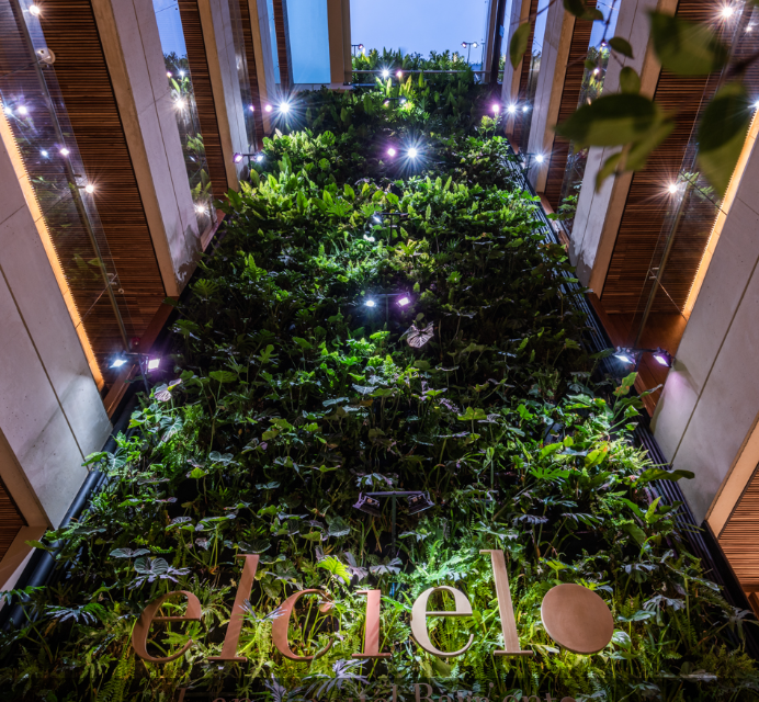 El Cielo Hotel — vertical garden.